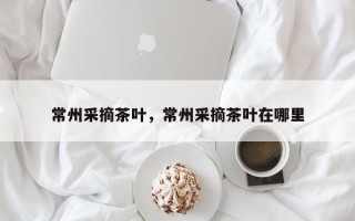常州采摘茶叶，常州采摘茶叶在哪里
