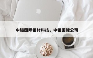 中铝国际铝材科技，中铝国际公司