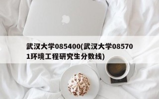 武汉大学085400(武汉大学085701环境工程研究生分数线)