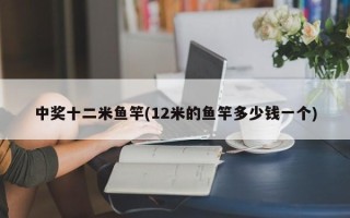 中奖十二米鱼竿(12米的鱼竿多少钱一个)
