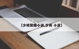 【少将赘婿小说,少将 小说】